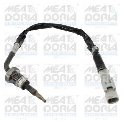 Sensor, exhaust gas temperature